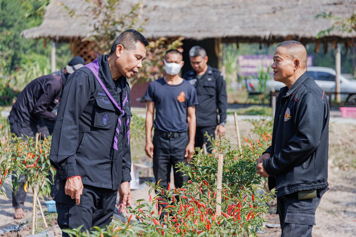 Suranaree64's tweet photo. พ.อ.กัญญณัต ไชยโอชะ ผบ.ฉก.ทพ.23ลงพื้นที่ตรวจคุณภาพการผลิตเมล็ดพันธุ์พริกจินดาพระราชทาน เพื่อมอบให้กับมูลนิธิชัยพัฒนา และแจกจ่ายให้กับประชาชนที่มีความต้องการรับพระราชทานเมล็ดพันธุ์ผัก ในโครงการ “บ้านนี้มีรัก ปลูกผักกินเอง”
#ArmyPRCenter https://t.co/Ca8hqWrg9m