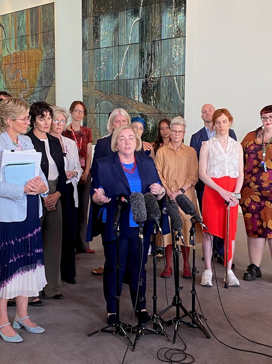 CHFofAustralia's tweet photo. Today CHF CEO, Dr @eldeveny spoke at @ACOSS Raise the Rate event at Parliament House. CHF supports the campaign to raise income support payments. The current rate of the Newstart allowance is just $56, it is not enough. It's time to #RaiseTheRate. https://t.co/4sA7fkMy5s