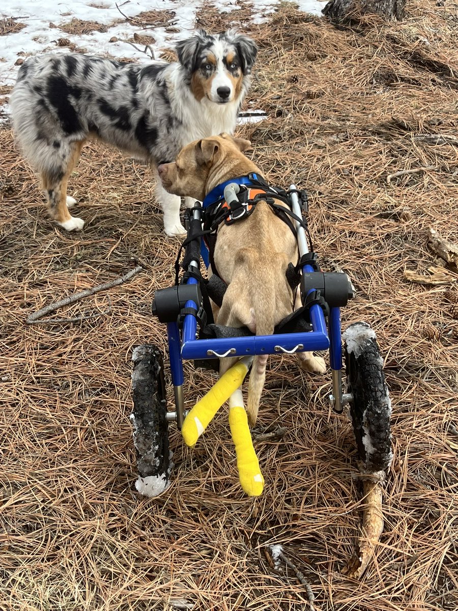 Benjamin_Brave_'s tweet image. Everyone has a story… 

My story has many ups and downs but one thing I’ve learned is I am resilient and I can overcome anything!