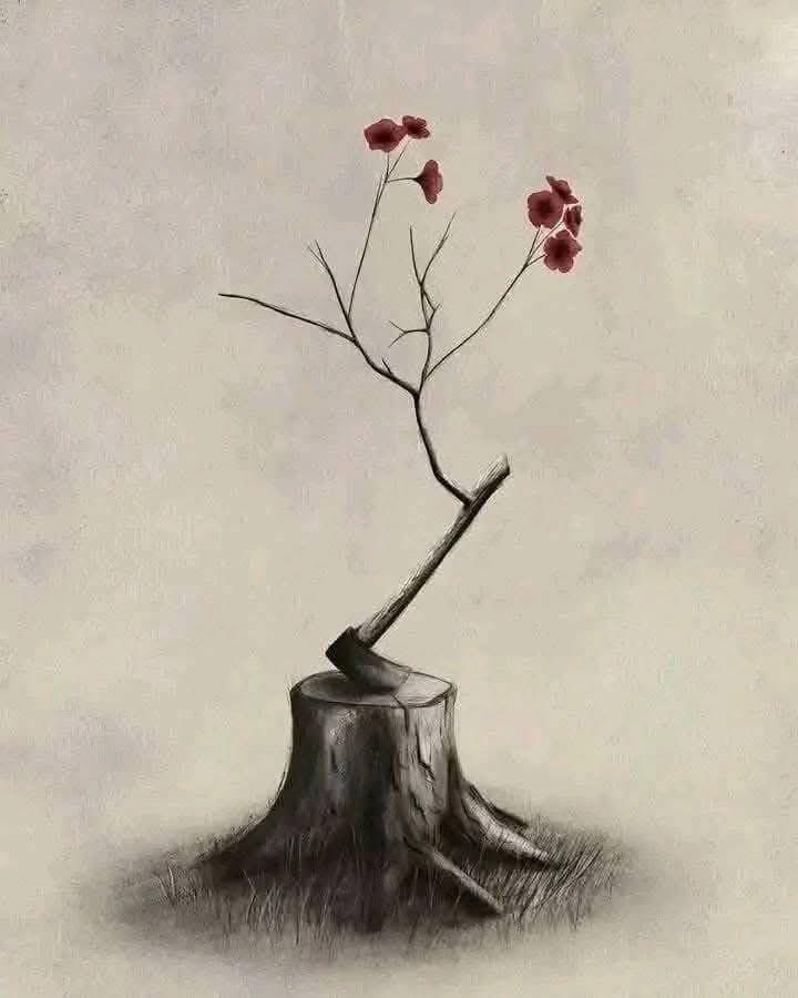QQ7AT's tweet photo. “يعلّمك الألم كيف تعيد الأشياء إلى أماكنها الصحيحة.” https://t.co/sPwmFxD2FX