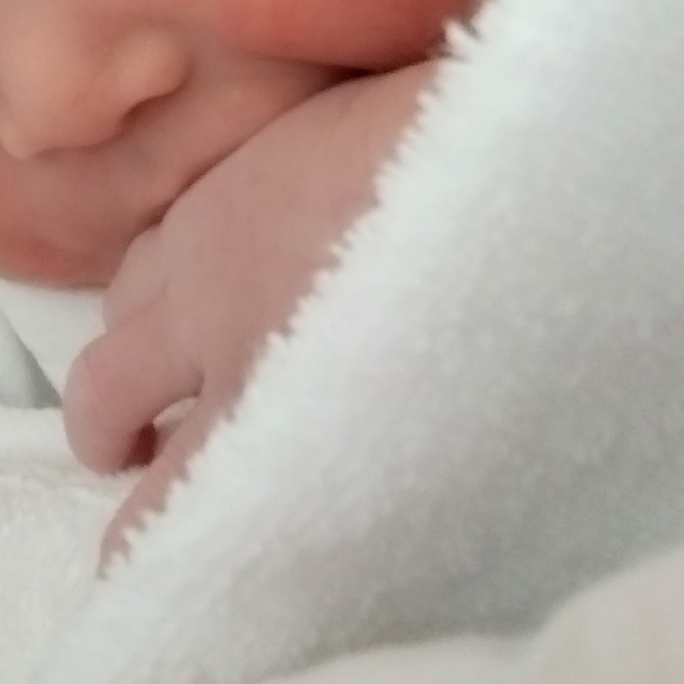 鯖の缶詰 (@osakanablue815) / Posts / X