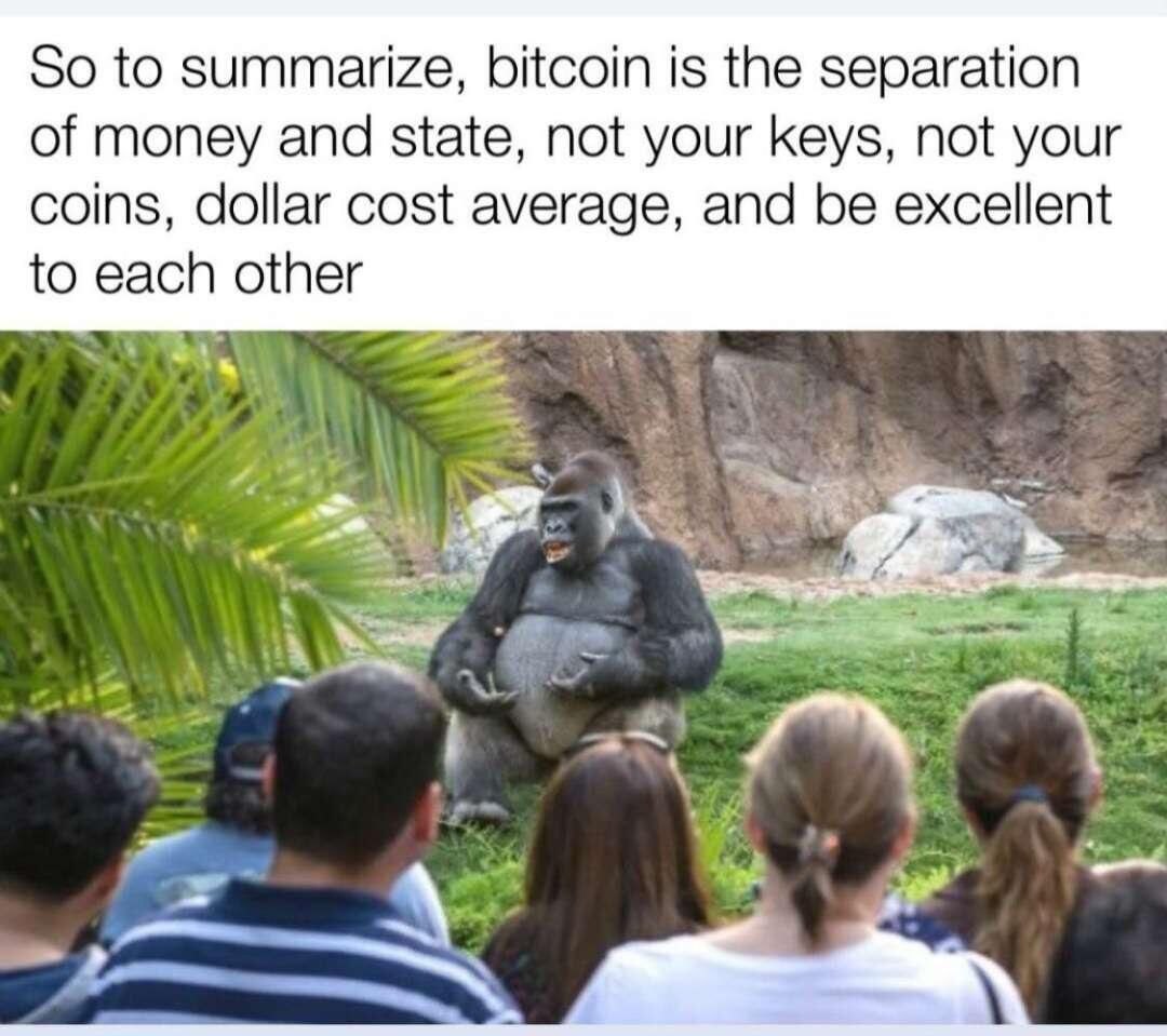 Cryptodperfect's tweet photo. @cz_binance Even gorilla know this https://t.co/sUgJfNxrV0