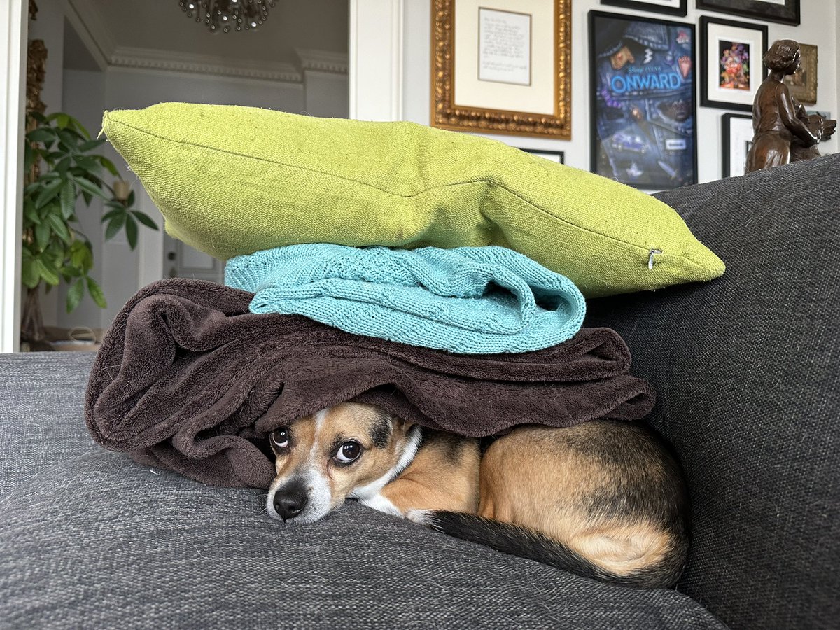 Lindathedog1's tweet photo. To be comfortable I need to sleep on a pillow, two blankets &amp; a Rosie. https://t.co/nqRO7O7CRS