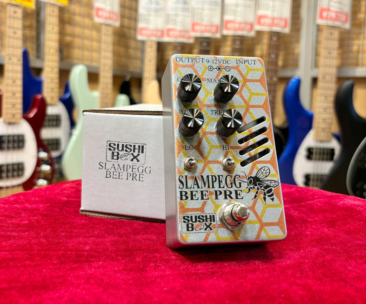 SUSHIBOXFX Slampegg Bee Pre入荷致しました！！ Ampeg B-15Nを基に