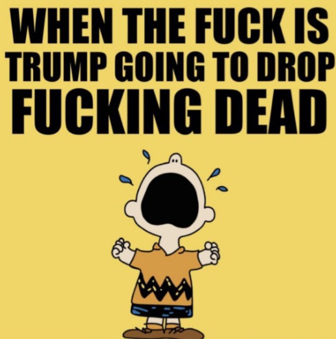 PeanutsNoCont's tweet photo. Charlie Brown Image of the Day 😊 https://t.co/bFjlD2zeZc