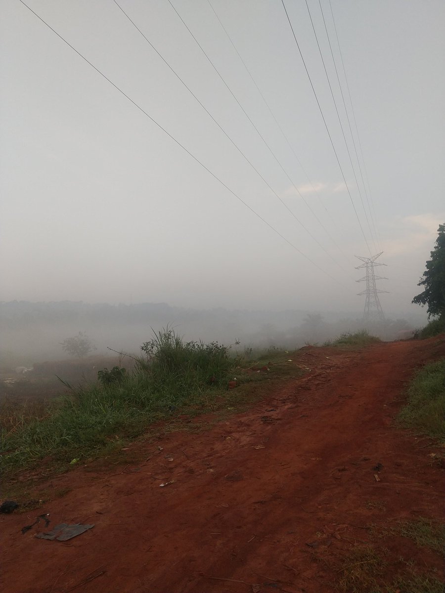 Miradji1000's tweet image. Wednesday fog weather this morning 
#WednesdayMorning
#Fog
#GoodWeather
#Photography
#landscapelovers 
#NaturePhotography
#SmartPhonePhotography