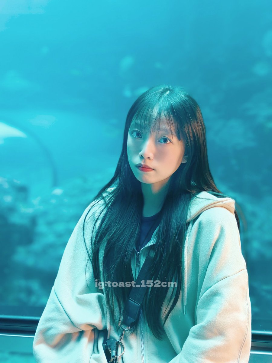 今天去看魚ദ്ദി ˃ ᵕ ˂ ) https://t.co/DklDlwh7WL
