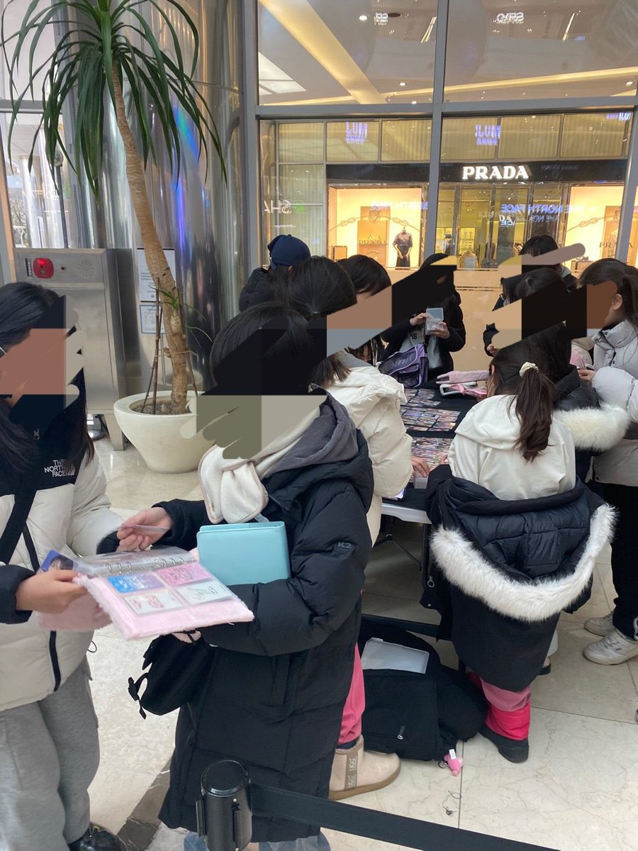 wickyjang's tweet photo. baby dives exchanging photocards https://t.co/MwPVLWrB1s