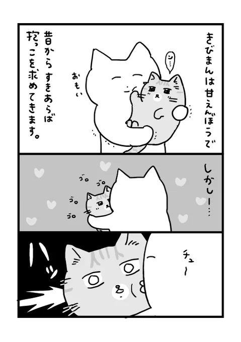 恥ずかしい猫 