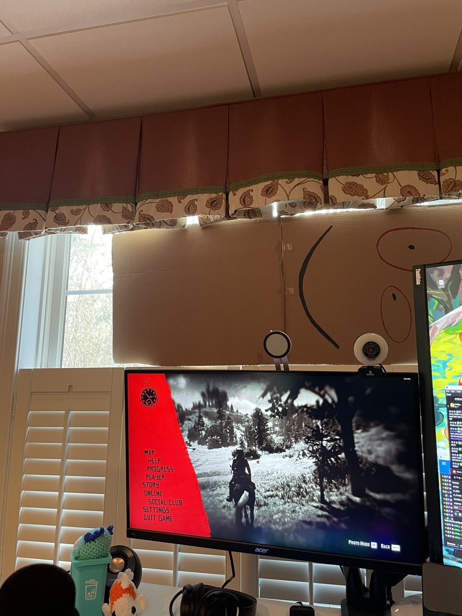 Still too broke to afford longer curtains so here’s what we’re working with for now