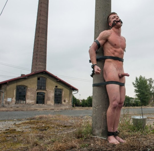 Bndggd's tweet photo. Frat Brother Max wasnt having a good day
The pledges caught him, stripped him, shaved him, then left him at this old, abandoned plant across town https://t.co/PqTLQNJz2H