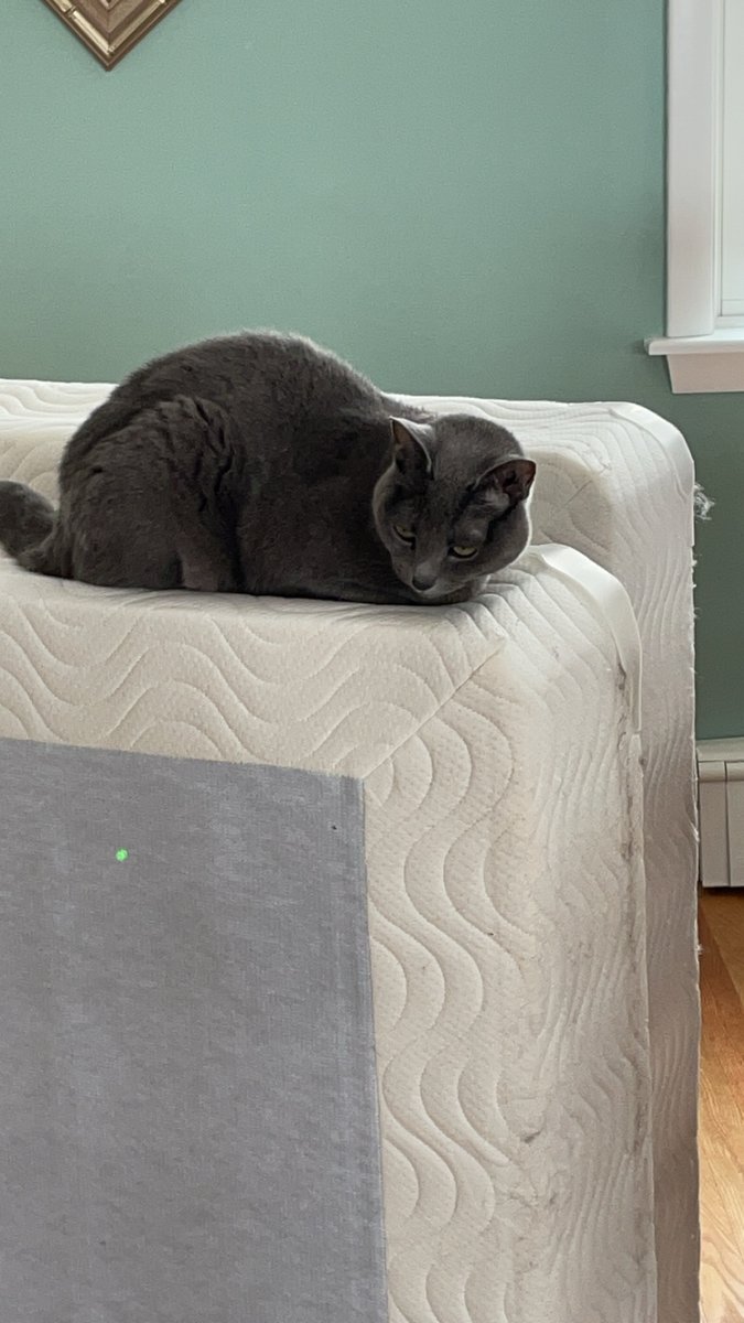 We are giving away some box springs. Anyone? 😂😂