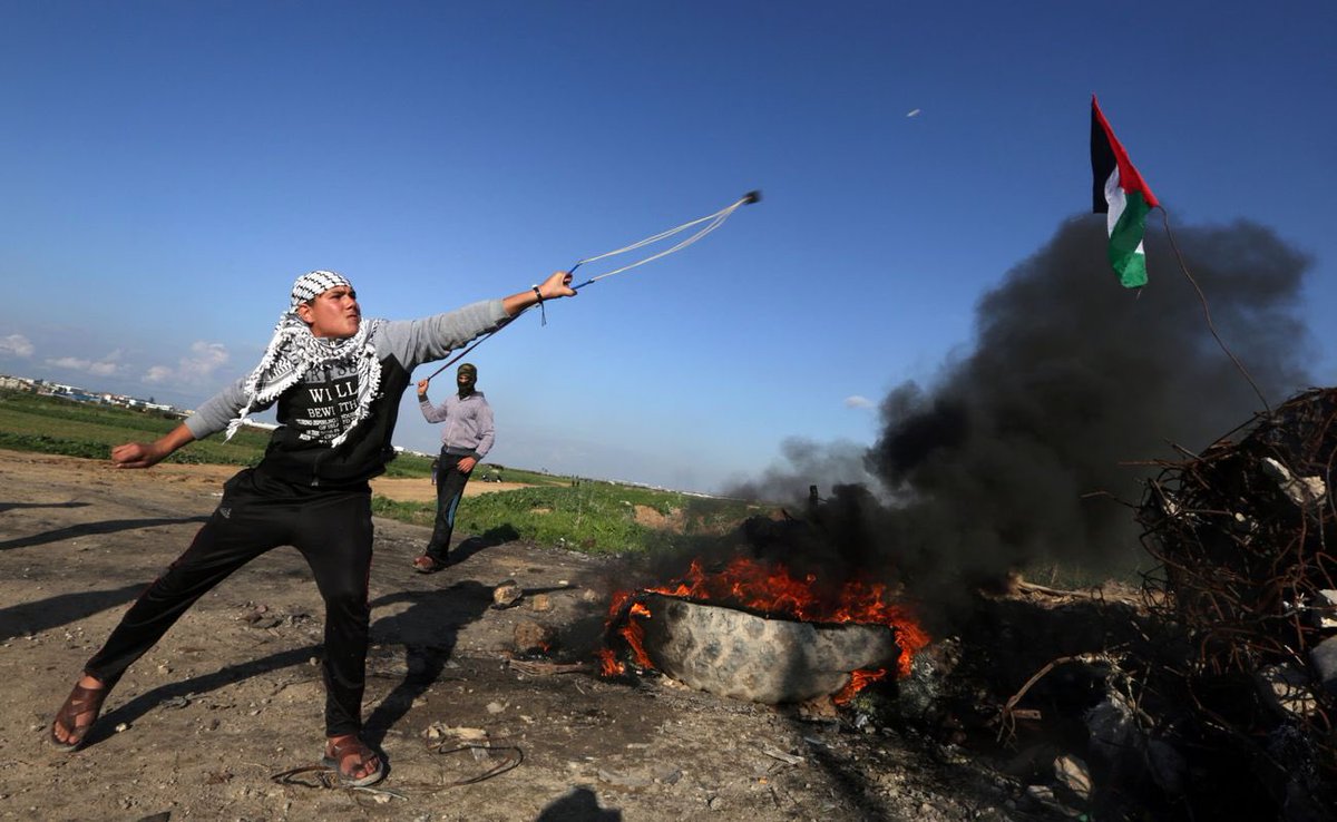 ZAYNA🇵🇸 FREE PALESTINE tweet media