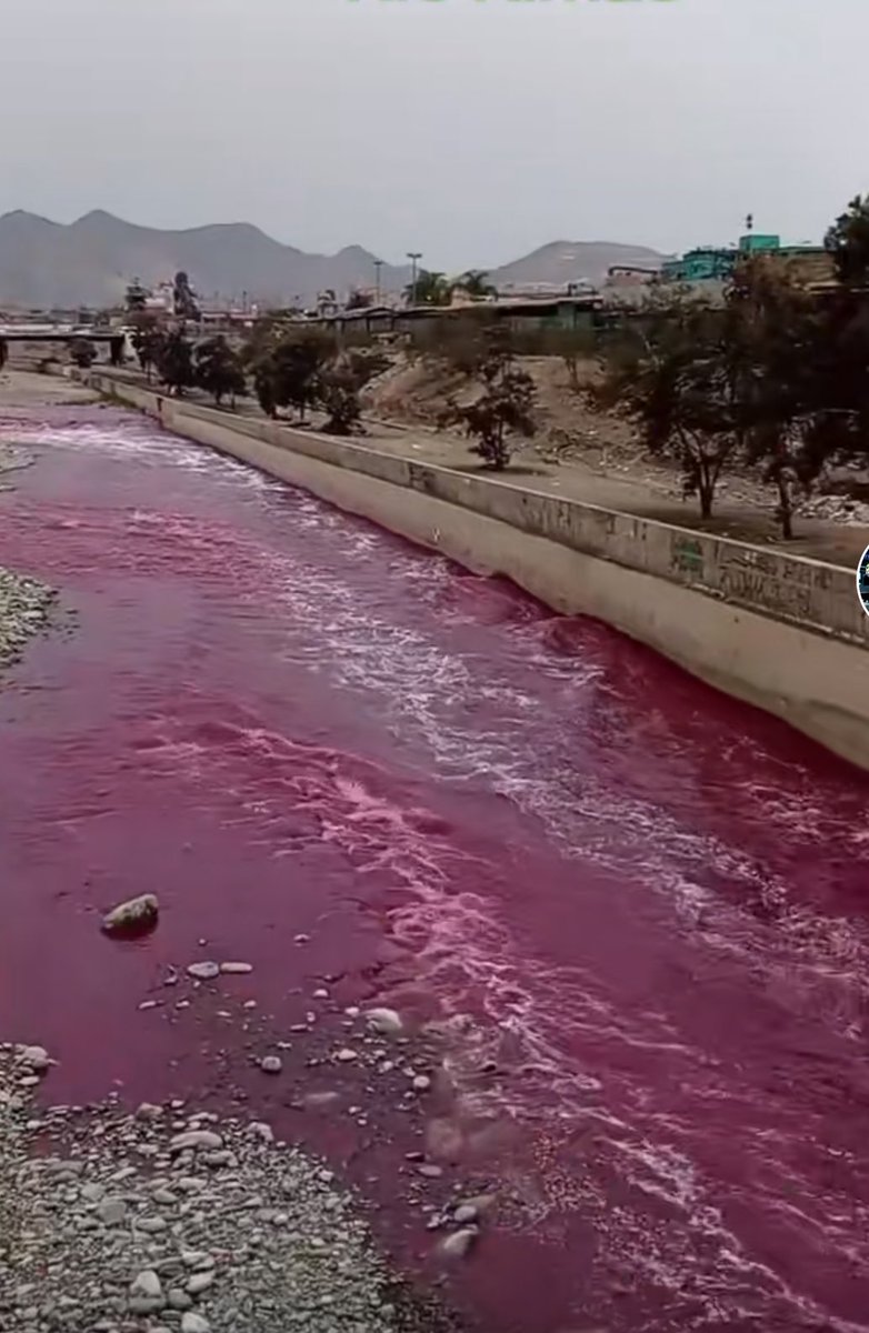 manquisv's tweet photo. No es ninguna maldición, ni ninguna obra de Dios. Este es el pobre río Rímac hoy, completamente contaminado por empresas irresponsables que hacen lo que se les da la gana. 

No es la primera vez que vecinos y vecinas denuncian este atentado.

@OEFAperu @ANAPeru @MINPRODUCCION https://t.co/cV1cV13DQf