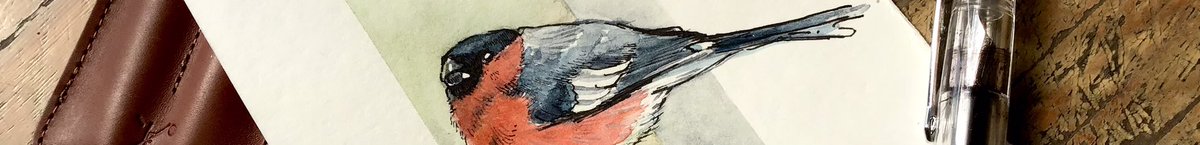 Ose_jj's tweet photo. https://t.co/OUuTZCYGkC

Sketch INK)/ pluma caligráfica Nahvalur (M)/ acuarela Sakura

Reference animalanthem 

#traditionalart #sketchbook #ink #watercolor #sketchdaily #bestbird #journaling #wildlife 
#fountainpen #birdslovers #fountainpensketch #birds #watercolor #bullfinch https://t.co/e8A6SM4jUY