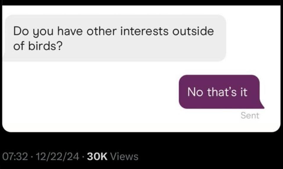 Me this entire week #gobirds