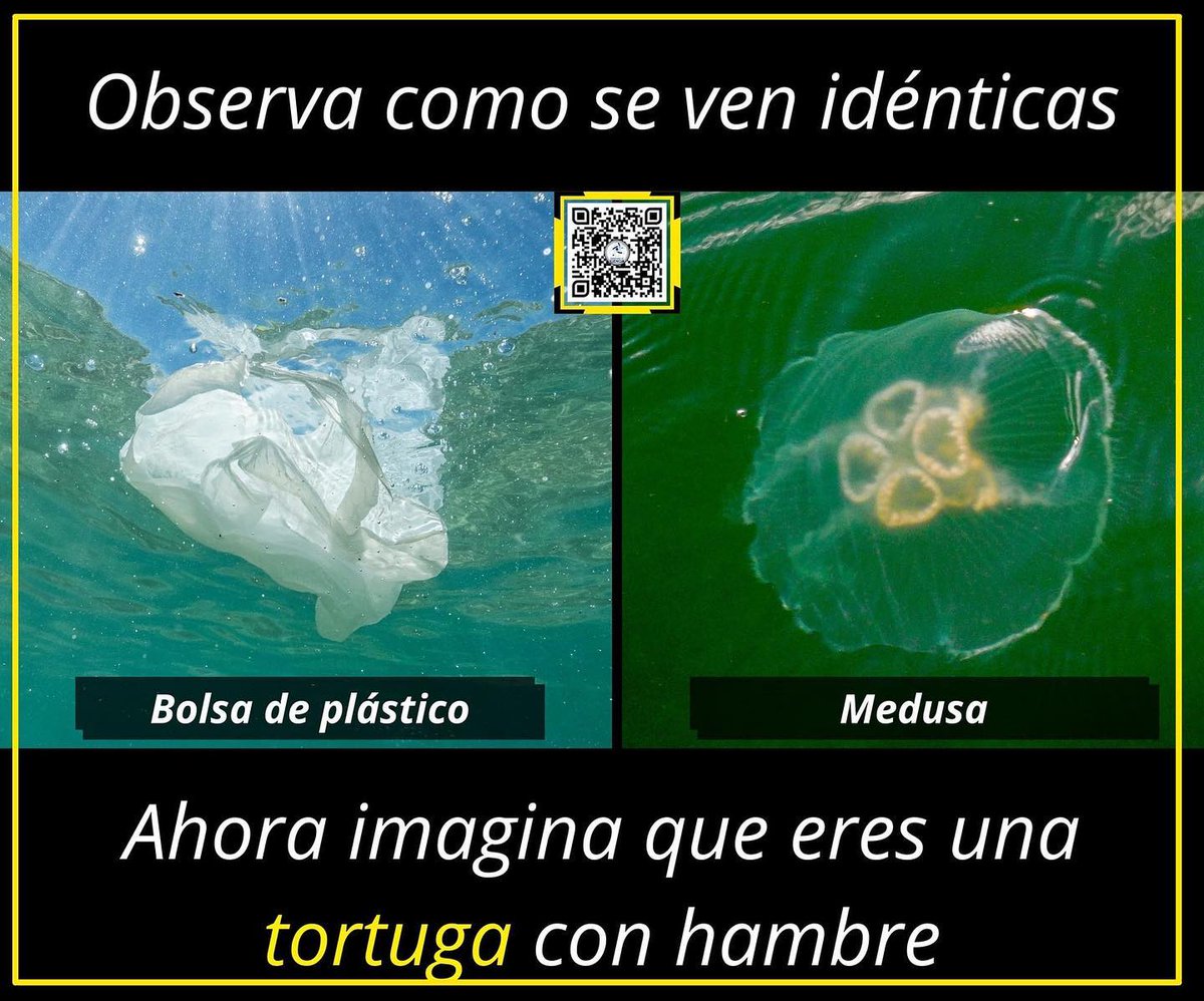 Enséñame de Ciencia tweet media