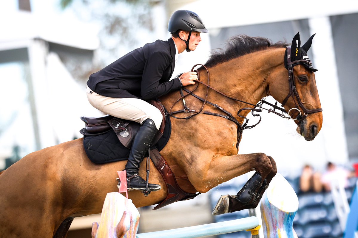 This week's Wellington International Rider Spotlight: Tony Stormanns! 🏆 

Check out our chat with the new talent in town. 

Read the Rider Spotlight: bit.ly/3XbsCKj

#WEF2025