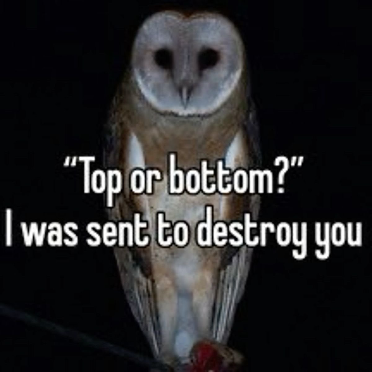 The Notorious J.O.V. tweet media