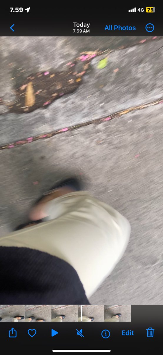 dorisayurus tweet media