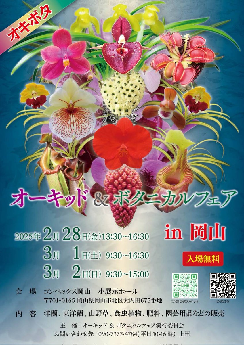 【S.S Flight出店情報】
2025年1発目🔥🔥
オーキット&amp;ボタニカルフェアin岡山
出店させて頂けることになりました！🌱
アグラオネマ ホマロメナ
アンスリウム 五目系……
色々持っていく予定です🫡🫡🫡
入場無料なので是非来てください🥺

※出品する植物は追ってポストします☘️
