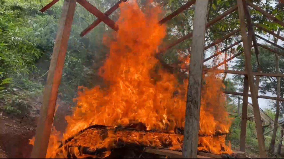 GJ. Domingo Hernández Lárez tweet media