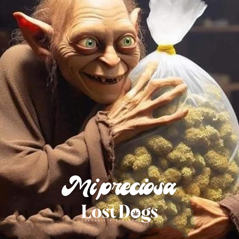 lostdogsoficial's tweet image. Tenemos de la preciosa. #merch #PuertoVallarta #weed 
Whatsapp: 322 104 2746 Envíos a todo México.   
wa.me/3221042746