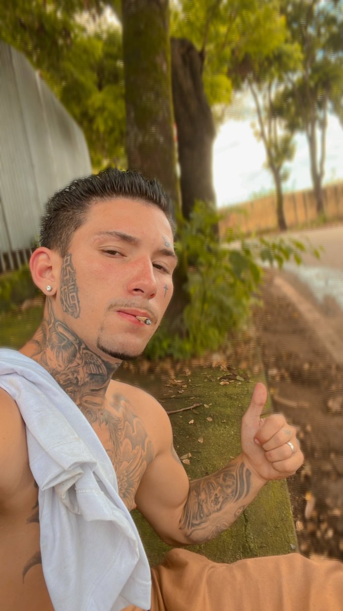 mini malvadao tweet media