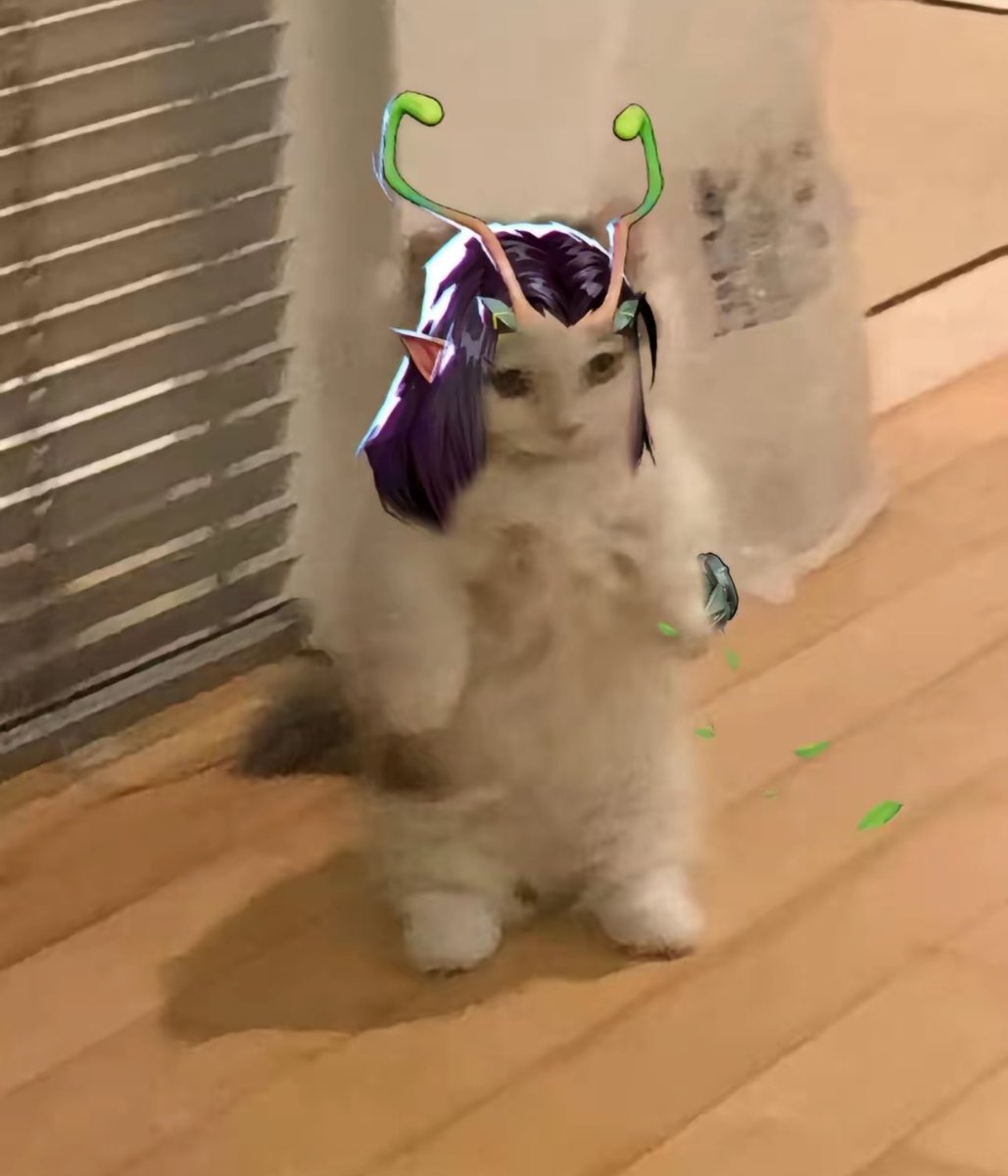 TFxHusky's tweet photo. Looking for mutuals/friends! (#promotwt)

> Kevin/Kerbin
> marvel rivals, balatro, Minecraft
> bleach, solo leveling, mashle
> I’ll interact as much as I can!
> ifb

♡ / ↻ to be moots!
#Anitwt #gamingtwt #marvelrivalstwt #moothunt https://t.co/KOHoBoFQdt