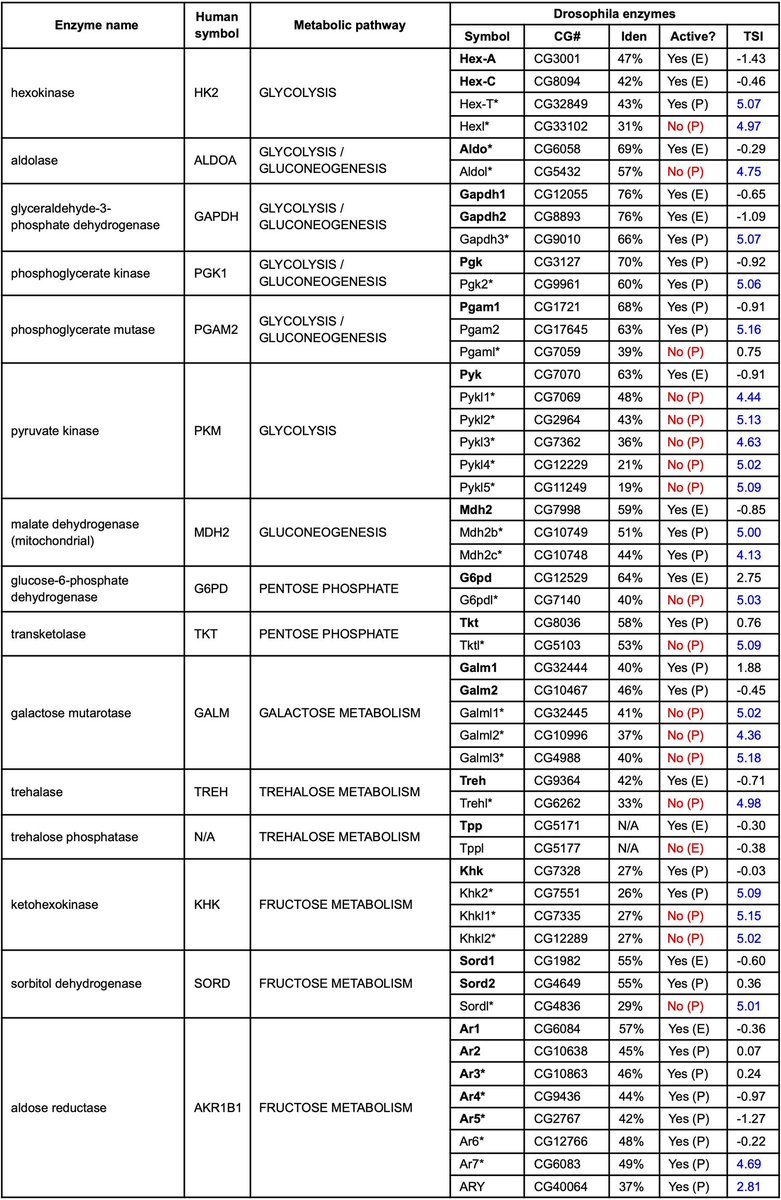Micropub7n's tweet image. In silico identification and analysis of paralogs encoding enzymes of carbohydrate metabolism in Drosophila melanogaster #micropublication #biology #data #caltechlibrary #Drosophila #DatabaseUpdates #Genomic #NomenclatureData #DataUpdates #NewFinding micropublication.org/journals/biolo…
