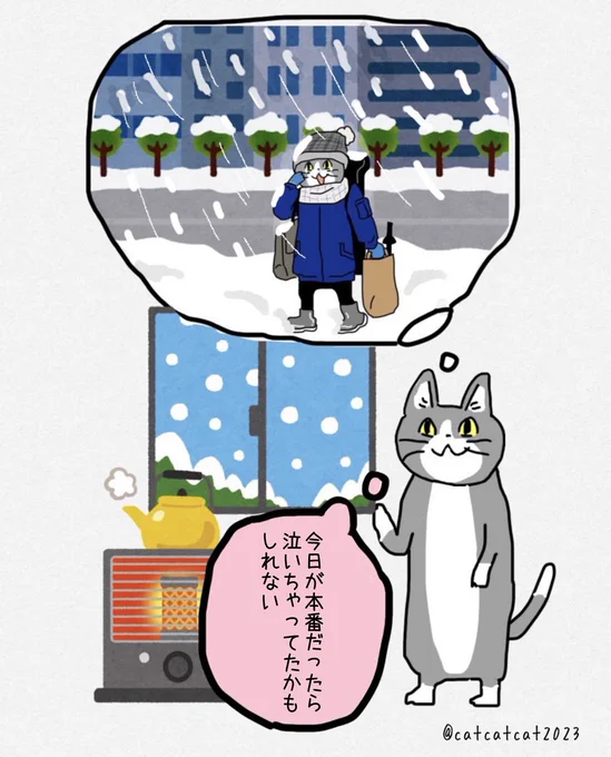 雪に弱い地域の猫。 