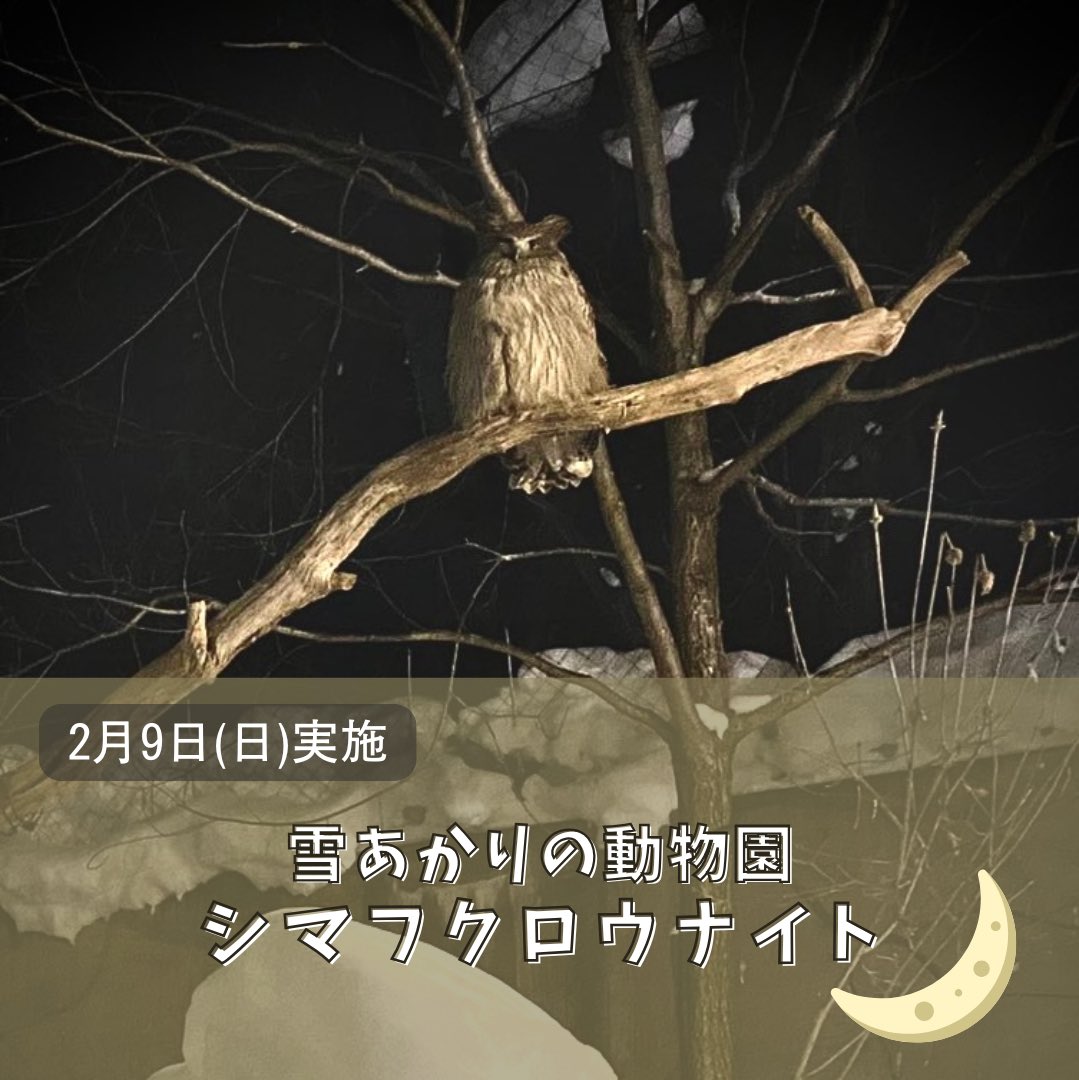 旭川市旭山動物園［公式］ tweet media