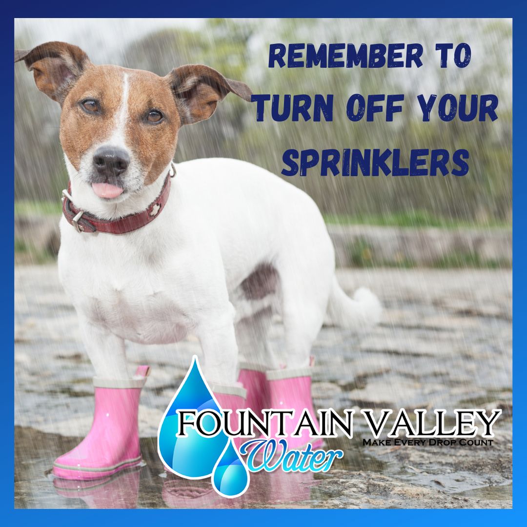There’s rain in the forecast! 🌧️  Please remember to turn off your sprinklers. 

Want to upgrade to a smart irrigation timer? Visit fountainvalley.gov/498/Water-Effi… for information on available rebates.
