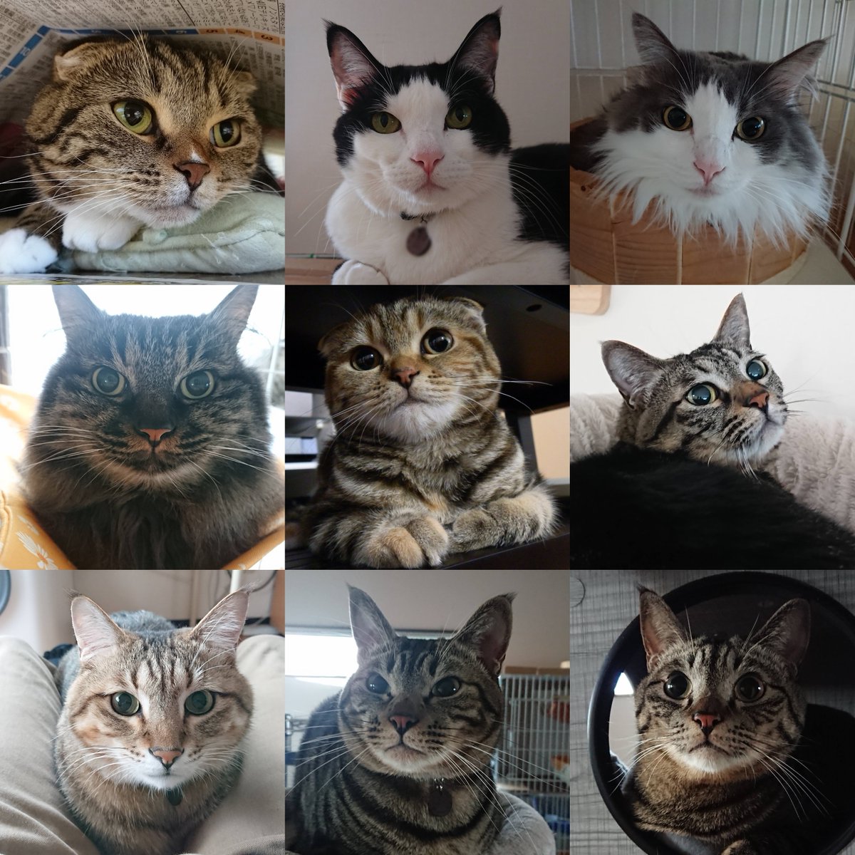 やまぴー tweet media