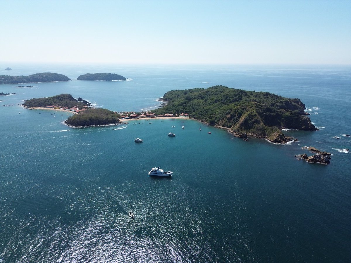 Yo soy Ixtapa Zihuatanejo tweet media