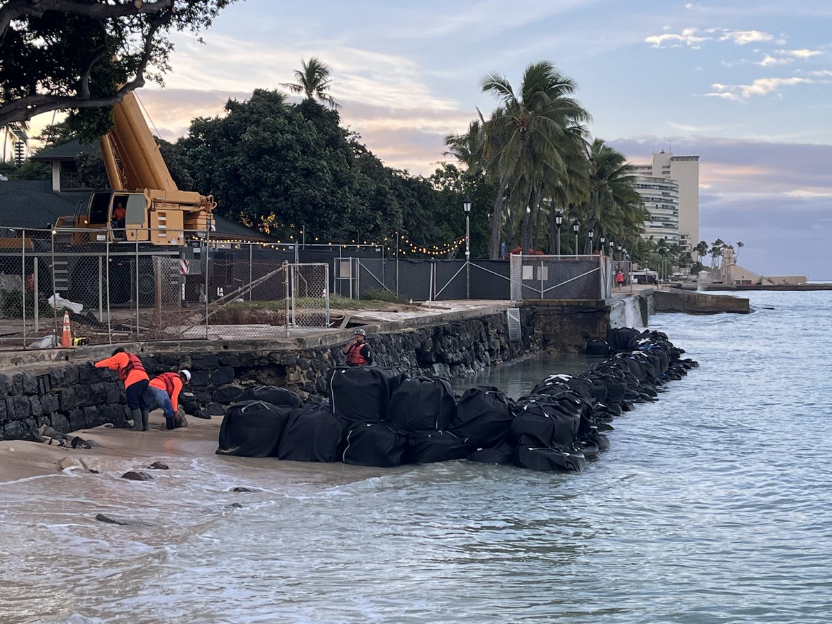 DDC - City and County of Honolulu tweet media