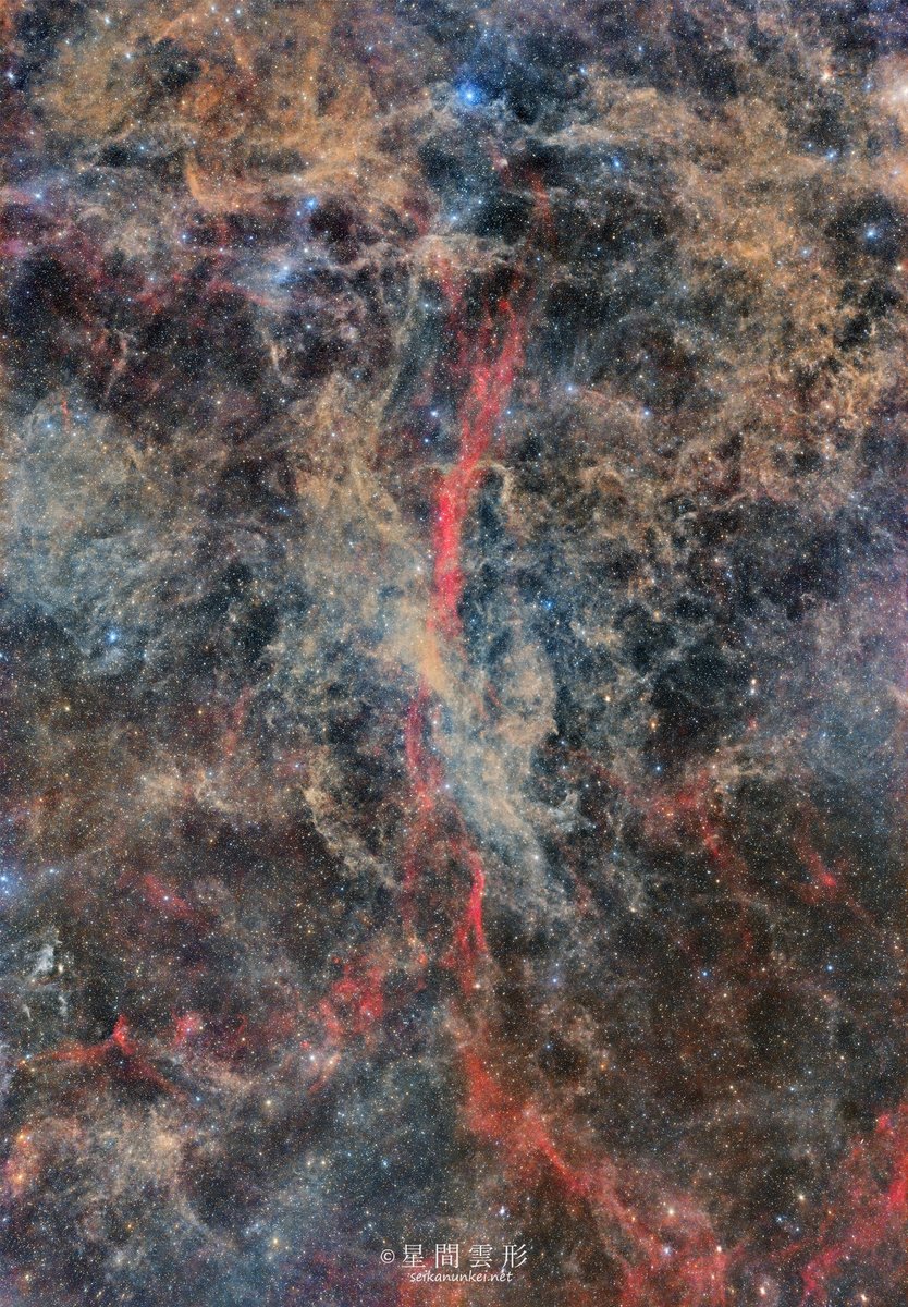 これはエグい（褒めてる）。もはや「し」にすら見えないエリダヌス座。135mmF2.5 4パネルモザイク総露光34時間弱。「遠征での撮影」「急がずゆっくり」「4夜かけて撮影」「満足のいく結果です^^」
「星間雲形 – SEIKANUNKEI.NET」よりピックアップ。
 seikanunkei.net/sh2-245/