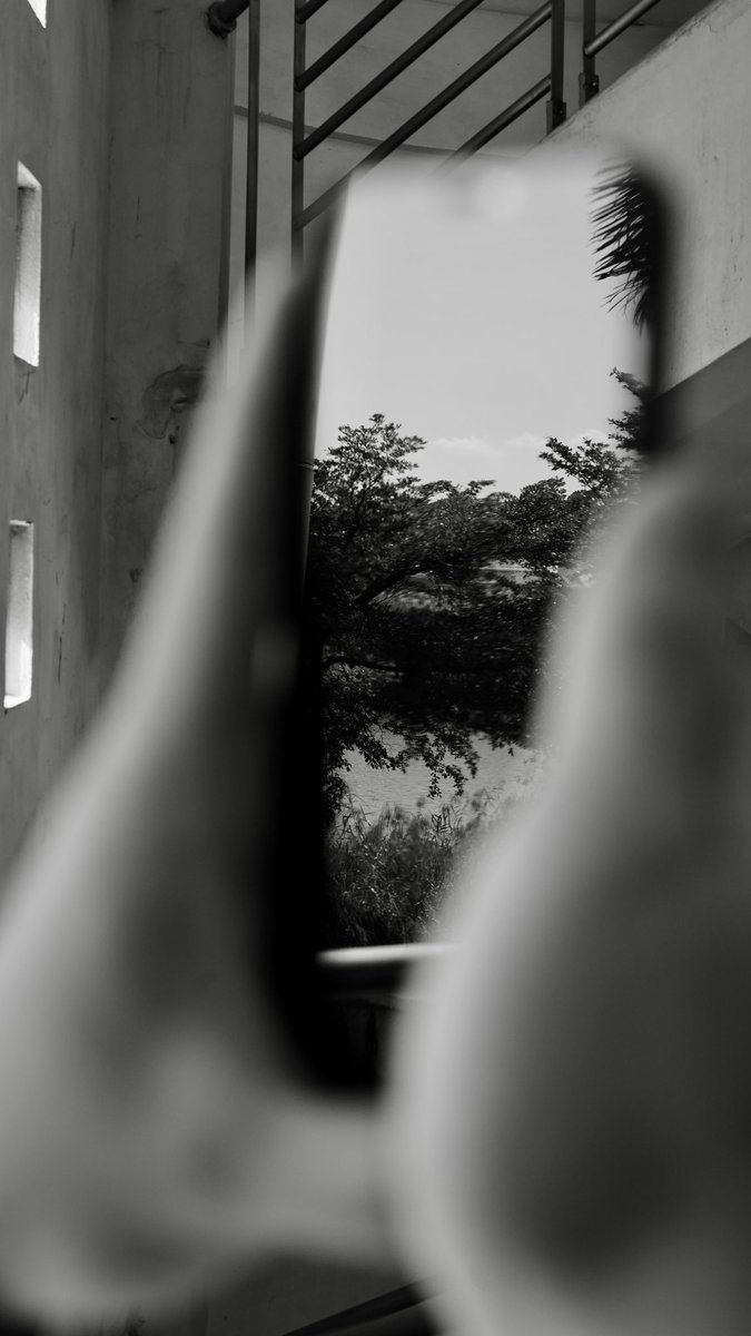 一碟肠粉 tweet media