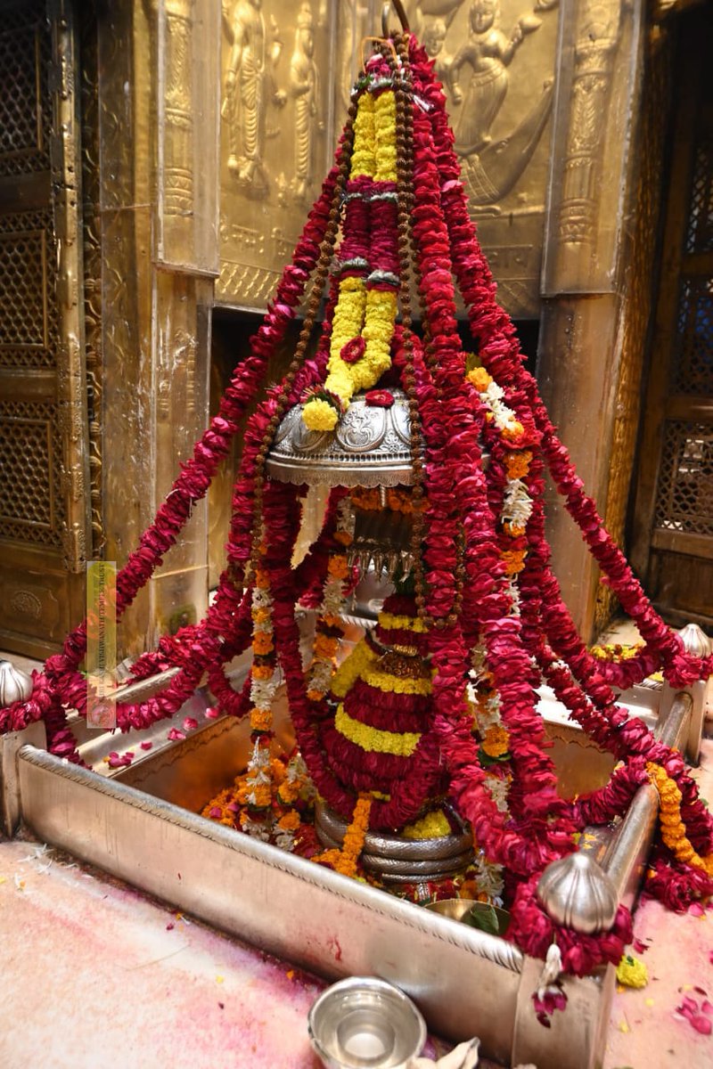 Shri Kashi Vishwanath Temple Trust (@shrivishwanath) on Twitter photo рджрд┐рдирд╛рдВрдХ:- 04.02.2025 рдмрд╛рдмрд╛ рд╡рд┐рд╢реНрд╡рдирд╛рде рдХреЗ рд╢рдпрди рдЖрд░рддреА, рджрд░реНрд╢рдиЁЯЩП
#kashi #VishwanathDham #sanatandharma #devotion #darshan рджрд┐рдирд╛рдВрдХ:- 04.02.2025 рдмрд╛рдмрд╛ рд╡рд┐рд╢реНрд╡рдирд╛рде рдХреЗ рд╢рдпрди рдЖрд░рддреА, рджрд░реНрд╢рдиЁЯЩП
#kashi #VishwanathDham #sanatandharma #devotion #darshan