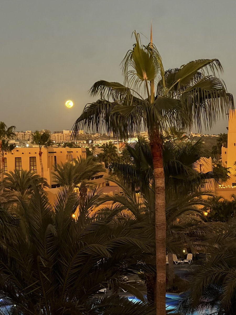 Your comfort zone is where dreams go to die #Travel