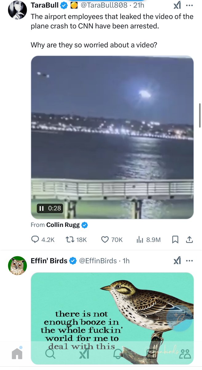 TheDyim's tweet photo. @EffinBirds Happened to appear in my feed https://t.co/kForWbEX3y