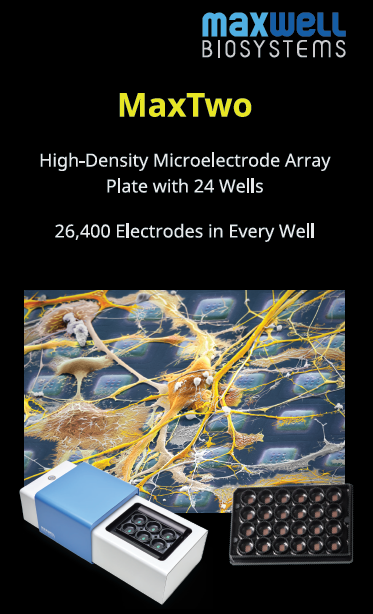ScitechPtyLtd's tweet image. The 4th #OptogeneticsAus meeting will be held @KollingINST 6-7th Feb. 
Visit Scitech to see how the @mxwbio #MaxTwo HD-MEA System is the next-generation #electrophysiology platform, offering novel capabilities for imaging cells in-vitro at cellular, subcellular &amp;amp; network levels.