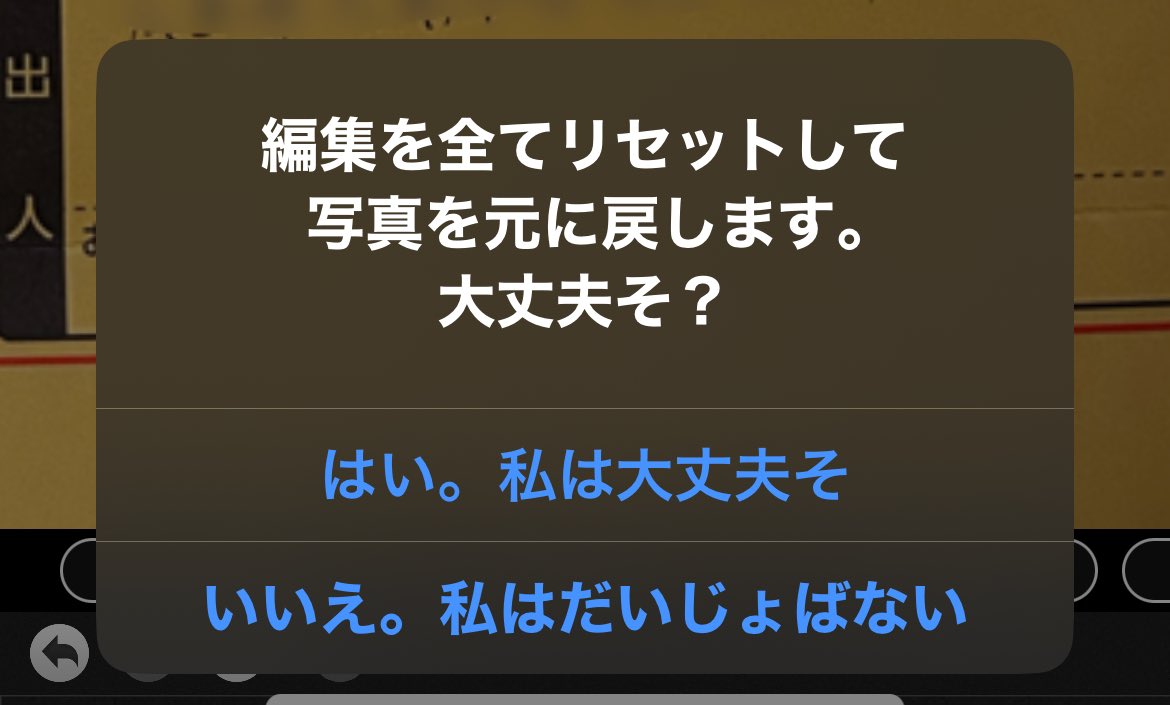 写真の加工アプリで編集を取り消そうとしたら変な日本語で質問された。