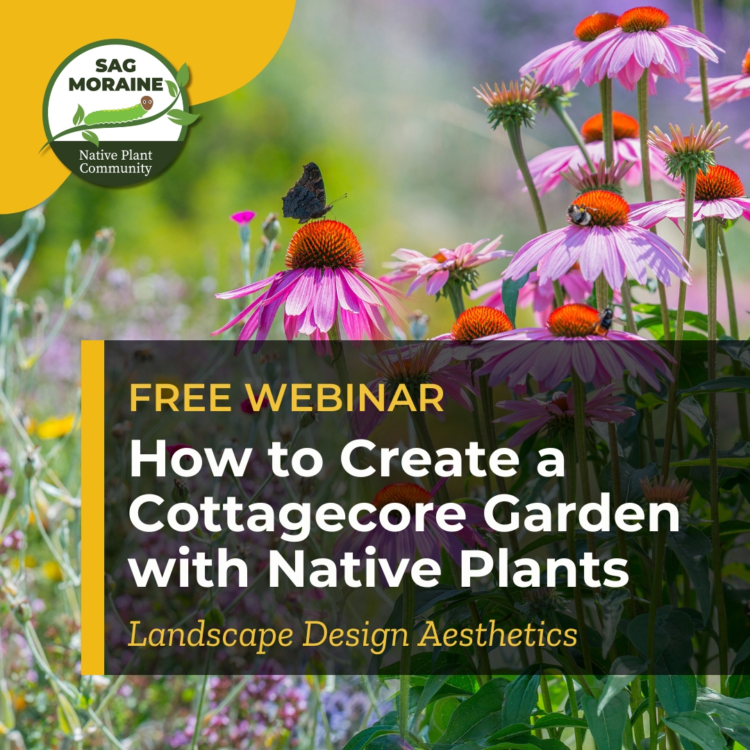 SagPlant's tweet photo. “How to Create a Cottagecore Garden with Native Plants” with Horticulturist Katarina Holecek Webinar Coming Soon!

Set a reminder to watch here -- https://t.co/rmEvn3HkcJ
 
#Cottagecore #CottagecoreGarden #NativePlants #GardenDesign #SustainableLandscaping #PollinatorFriendly https://t.co/Lh4eJeLni1