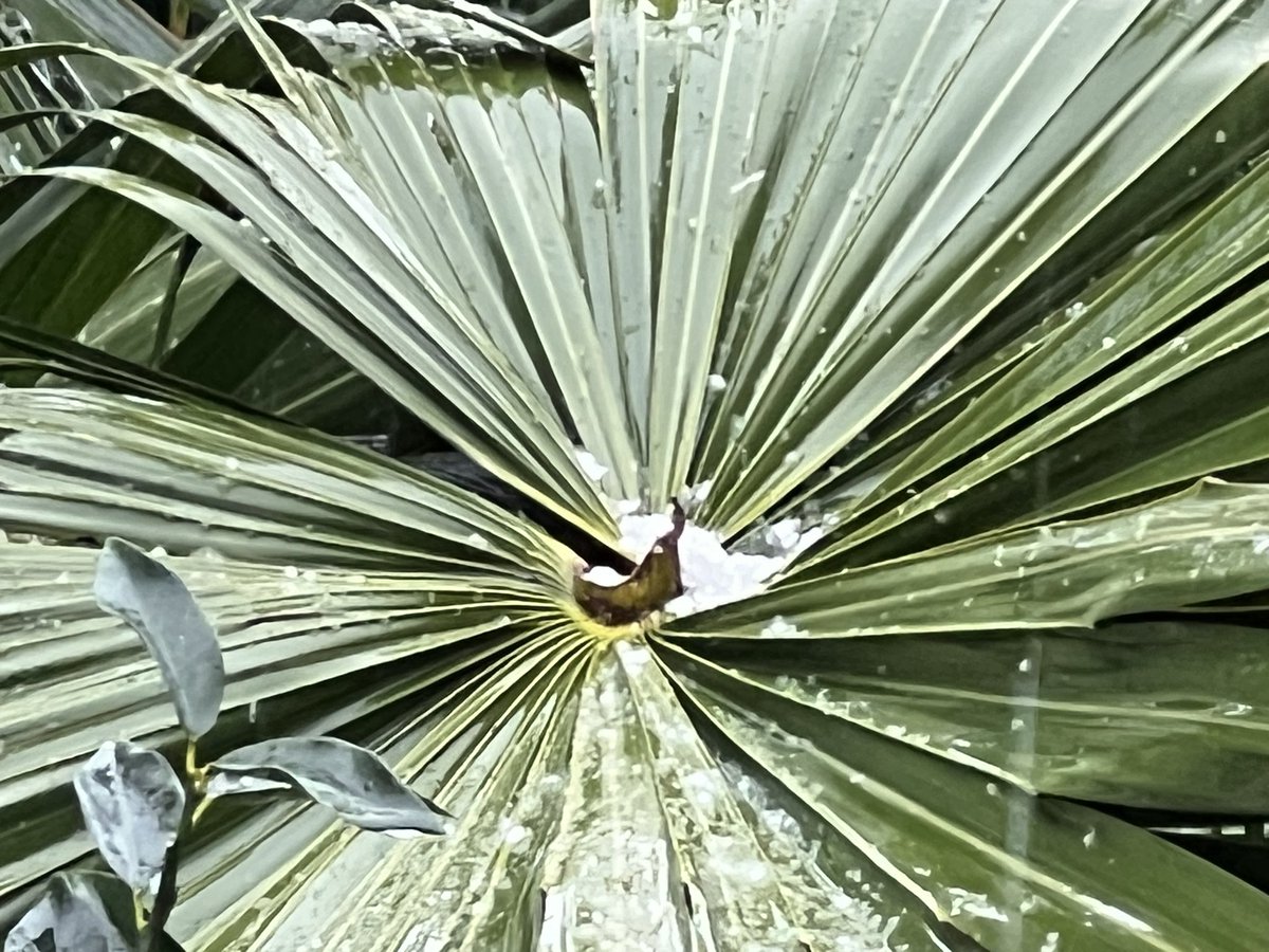 tajijive1983's tweet photo. 気温4℃
アラレ時々みぞれ
水温劇下がり
良いサイズ
カレント、ゲット共にハード
オール3ミリ起毛➕ブーツ https://t.co/pgeHNyjmWy