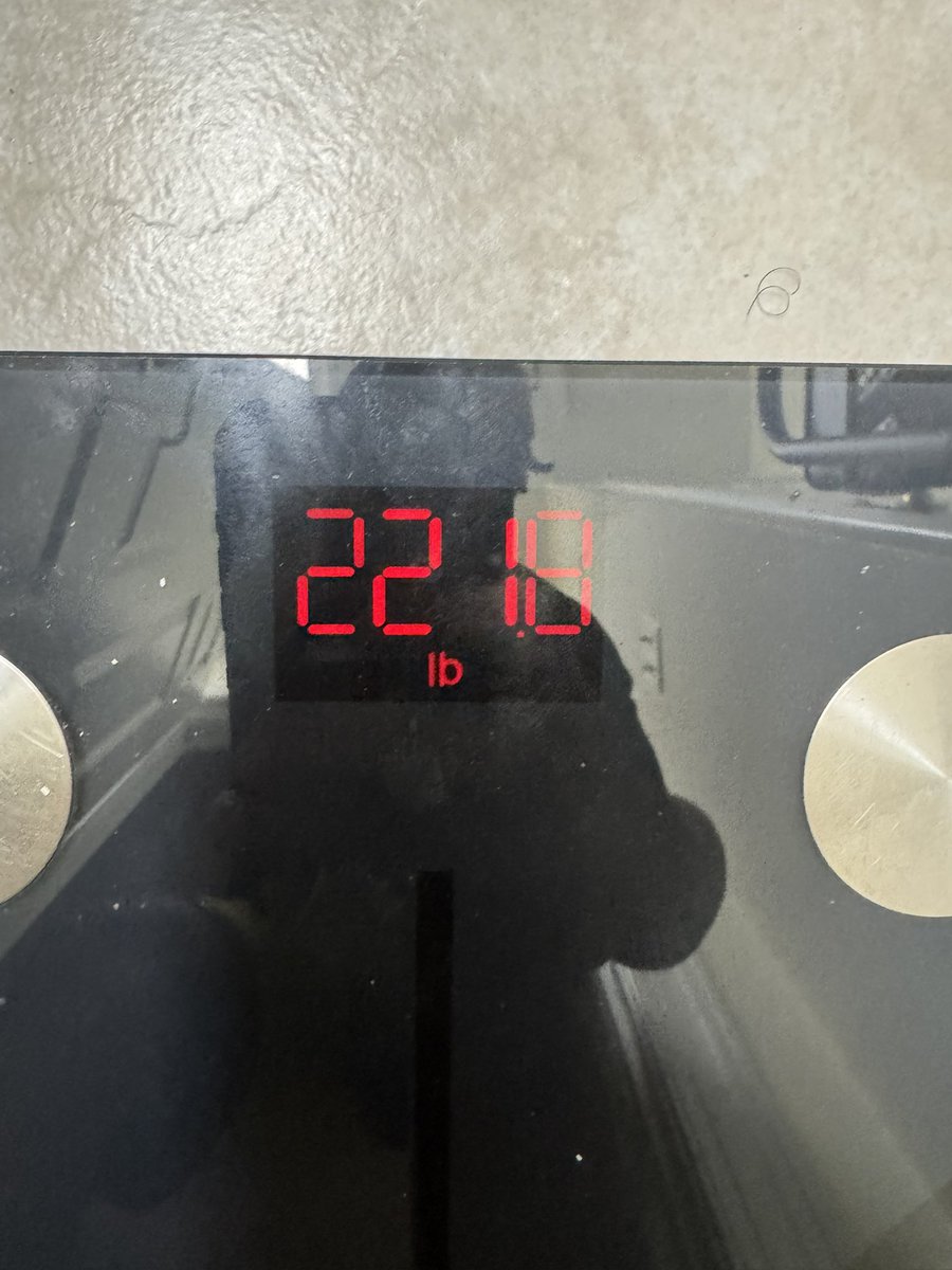 Xavier Alexander-pounds 26' ⭐️ tweet media