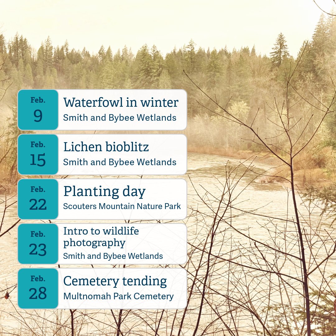 This February, layer up and join us for an outdoor education or stewardship program to connect with nature and other like-minded community members. Sign up at OregonMetro.gov/GuidedActiviti… to reserve your spot.