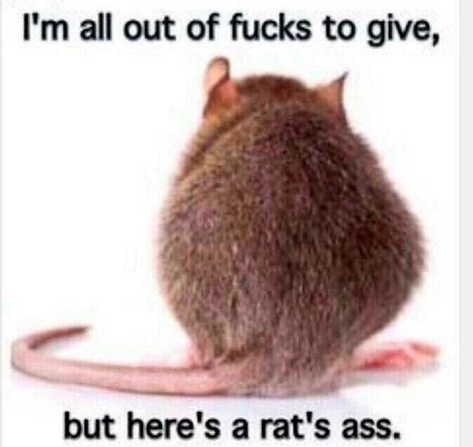 Gi_XAS6XkAAfAbW.jpg