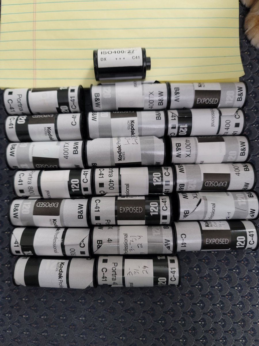 SLE Photo tweet media