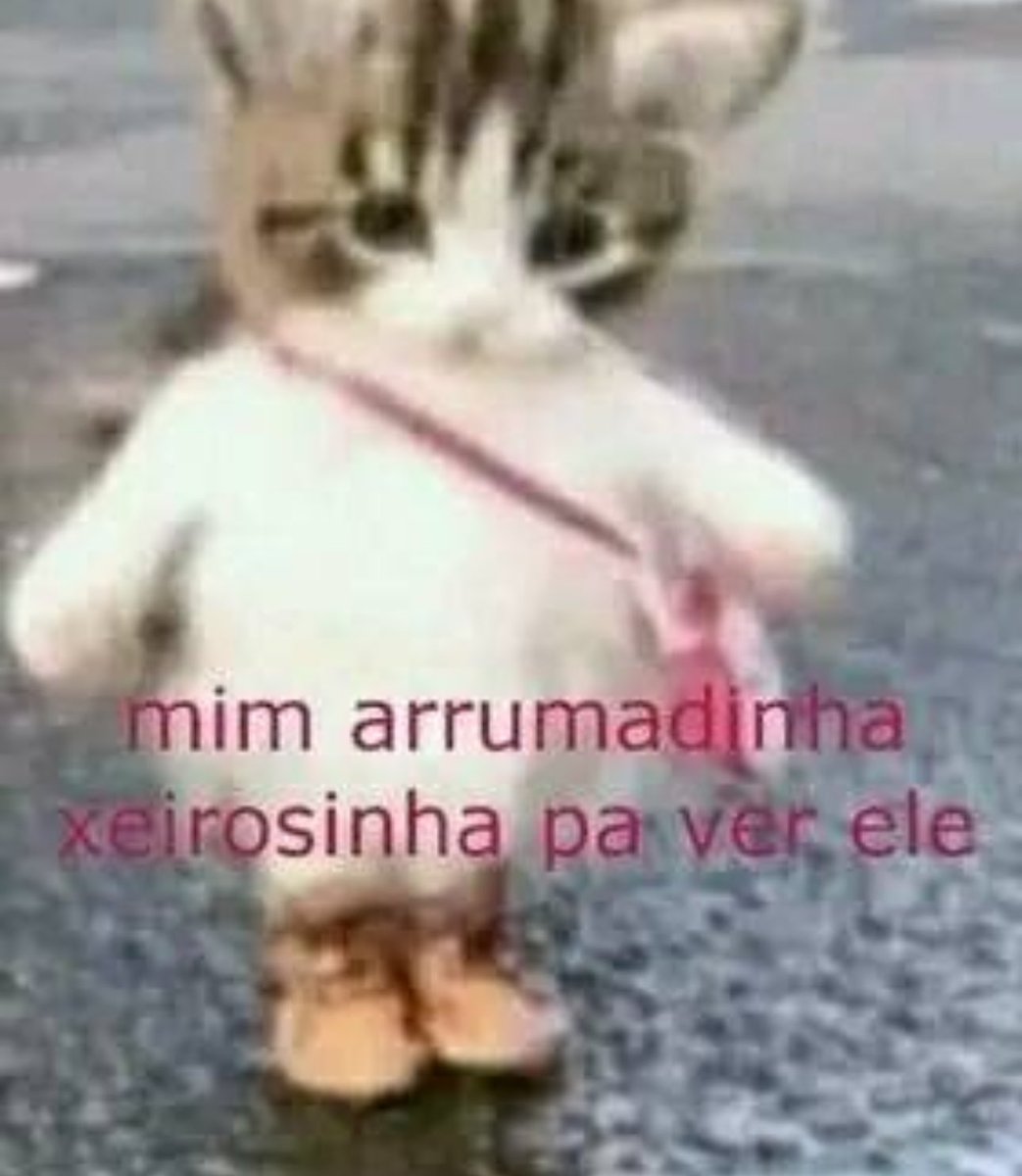 Shitpost só que de verdade (@shitpostverdade) on Twitter photo 
